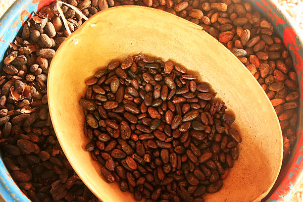 Close up of cocoa beans