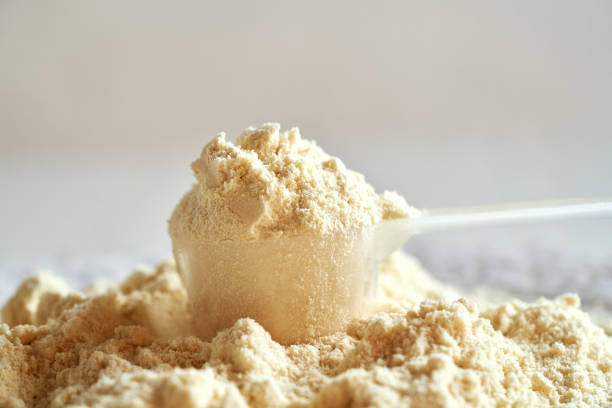 istock Whey protein powder in a plastic measuring cup 1786242940