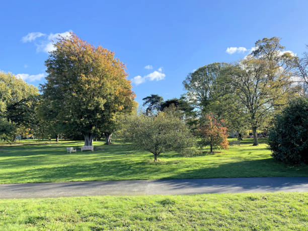 istock A view of a Park in London 1786243467