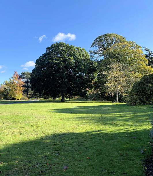 istock A view of a Park in London 1786244026