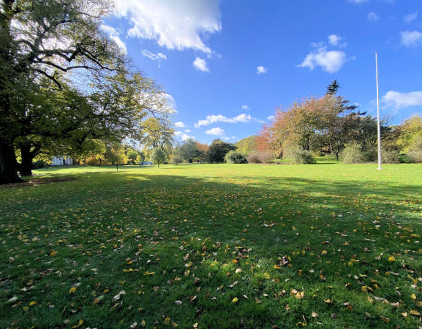 istock A view of a Park in London 1786245103
