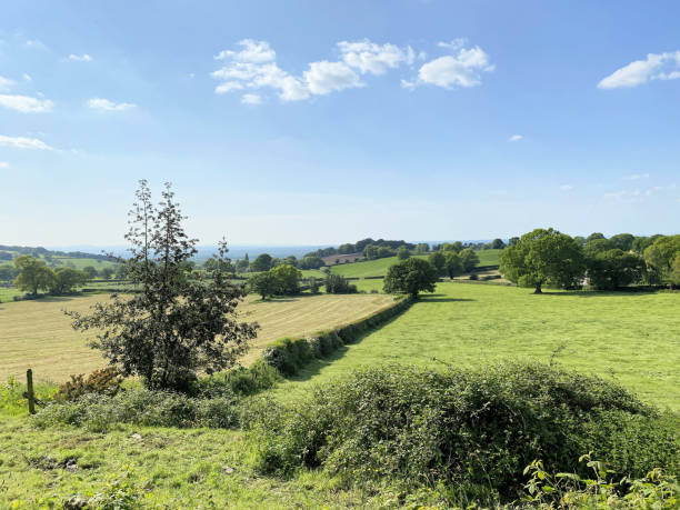 istock A view of the Cheshire Countryside 1786246136