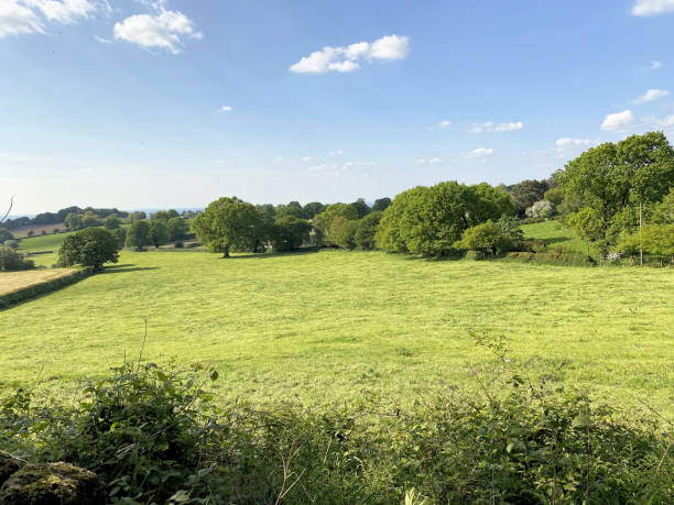 istock A view of the Cheshire Countryside 1786246654