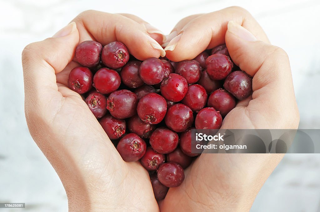 Haws en corazón shap manos - Foto de stock de Alimento libre de derechos