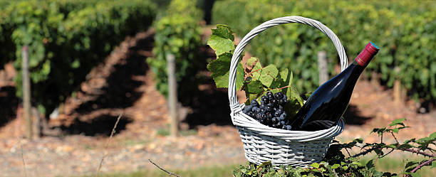 istock bottle of wine and grappes in basket 178625103