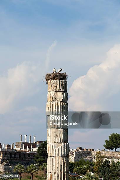 Templo De Artemisa - Fotografias de stock e mais imagens de Anatólia - Anatólia, Antigo, Antiguidades