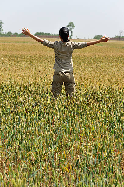 istock woman happy wheat field 178625566
