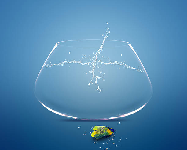 istock angelfish jumping out of  fishbowl 178626492