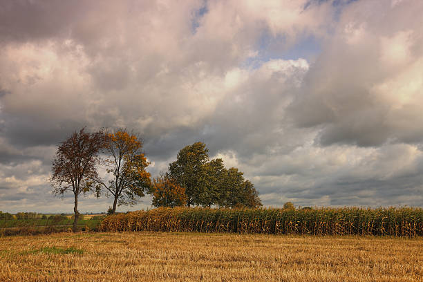 istock Autumn in Podlasie 178626860