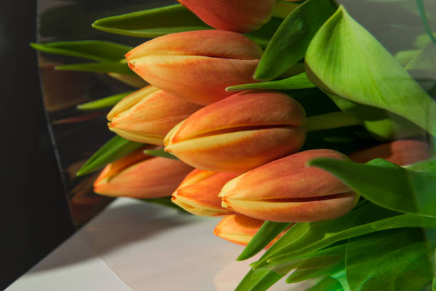 istock Spring flowers. Red tulips in bouquet. 1786284194