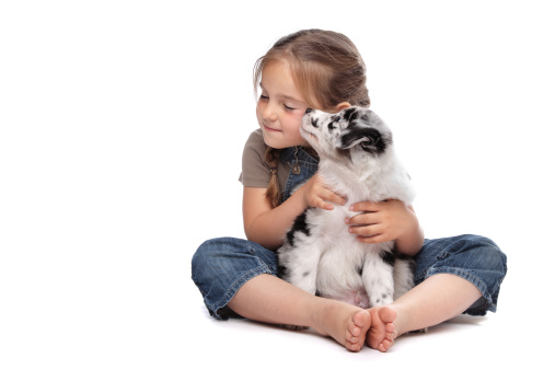 little girl and a puppy in front of a white background