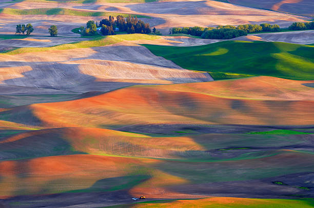 colline della regione del palouse - palouse foto e immagini stock