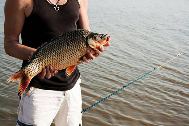 istock Fisherman with his big carp at a beautiful river. 178629655