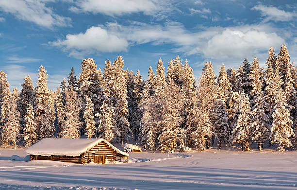 istock dug in the winter frosty forest 178630263
