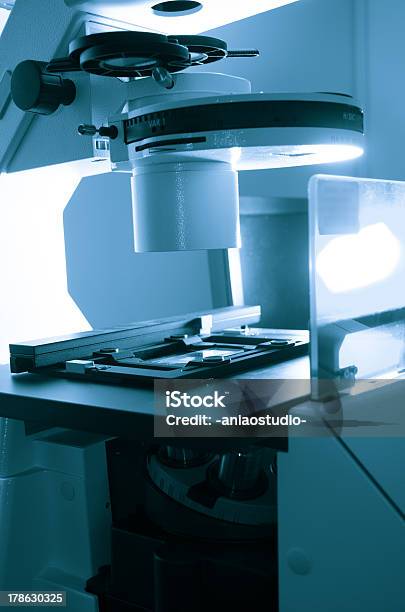 フェーズコントラストの蛍光顕微鏡 - クローズアップのストックフォトや画像を多数ご用意 - クローズアップ, バイオテクノロジー, ヘルスケアと医療