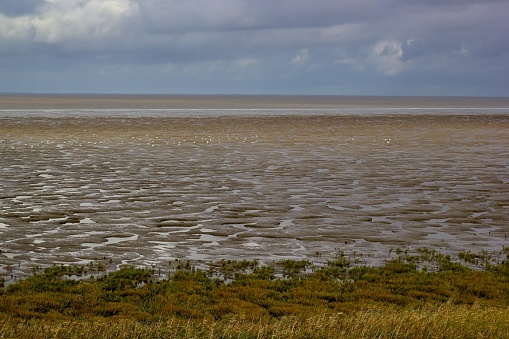 The coast of Wadden sea in Friesland, the Netherlands