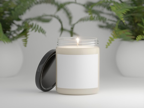 9 oz scented lit candle mockup. Blank label space for personalization on a white background with fern plants. 3D Rendering.