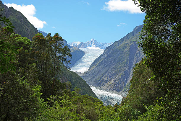 ghiacciaio franz josef - franz josef glacier foto e immagini stock