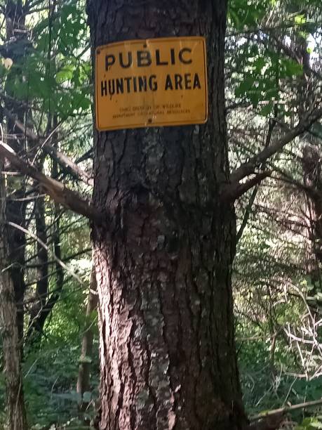 istock Public Hunting Area Sign 1786313441