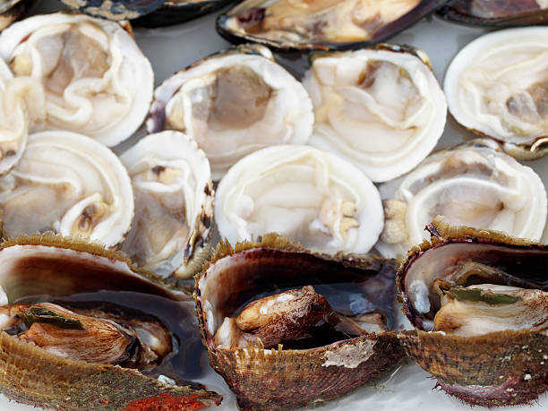 istock Italian flat oysters mussels seafood Preparation 178631412