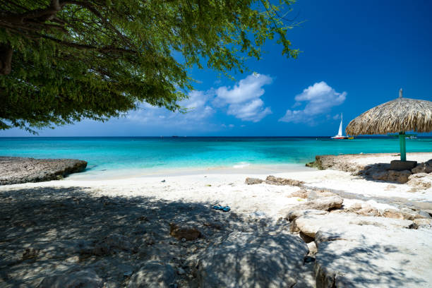 istock Shoreline of Boca Catalina Beach, Aruba 1786314389