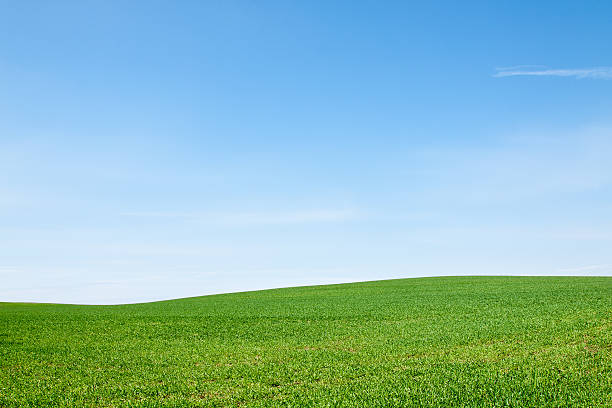 istock Natural Green Field with Sky Background 178631465