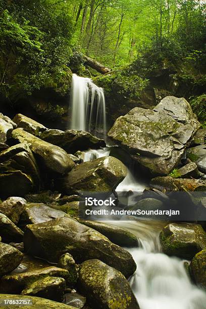 Cascada En La Primavera Foto de stock y más banco de imágenes de Agua - Agua, Aire libre, Aislado