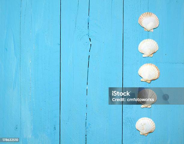 A Blue Wood Wall With A Line Of Seashells Stock Photo - Download Image Now - Beach Hut, Rustic, Animal Shell