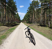 Bicycle trip in the forest on a gravel road. Bicycle on a forest road without people