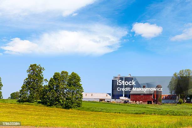 Ruralamericano - Fotografias de stock e mais imagens de Agricultura - Agricultura, Animal Doméstico, Antigo