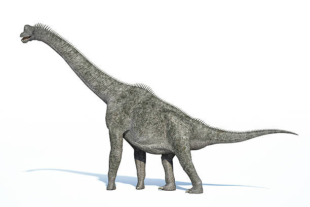 istock Photorealistic 3 D rendering of a Brachiosaurus. 178633524