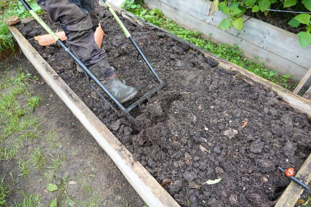 istock man using a double-handled pitchfork to work in the vegetable garden. raised wooden bed prepared for cultivation. 1786336949
