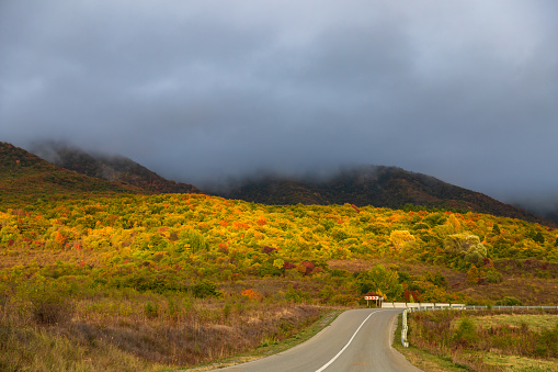 Winding road to the mountains. Sunny autumn in the mountains covered with bright colorful trees