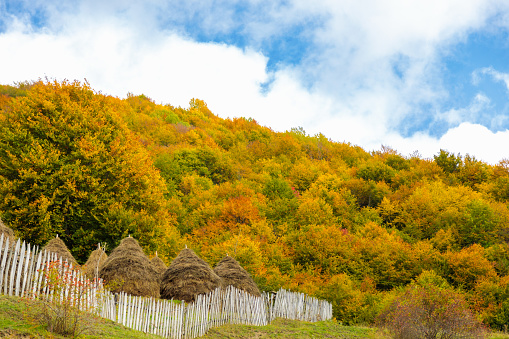 Warm autumn in the mountains covered with bright autumn trees. Colorful landscape