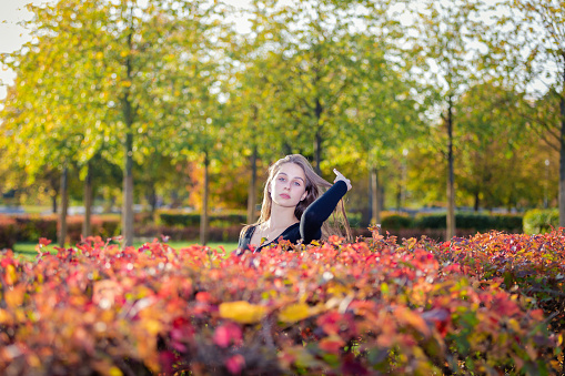 Portrait of a beautiful girl near a red-yellow bush in an autumn park
