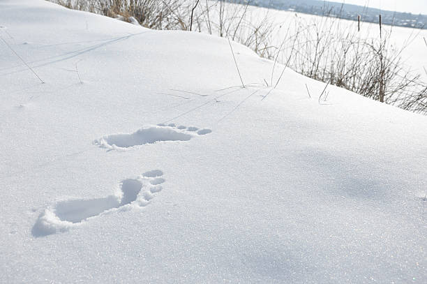 fußabdruck - snow track human foot steps stock-fotos und bilder