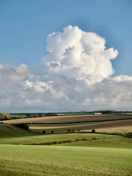 istock Landscape East Yorkshire. 1786341805