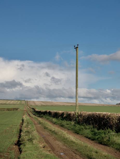 istock Landscape East Yorkshire. 1786342316