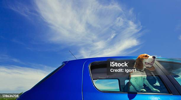 Travel Stockfoto und mehr Bilder von Auto - Auto, Hund, Fenster