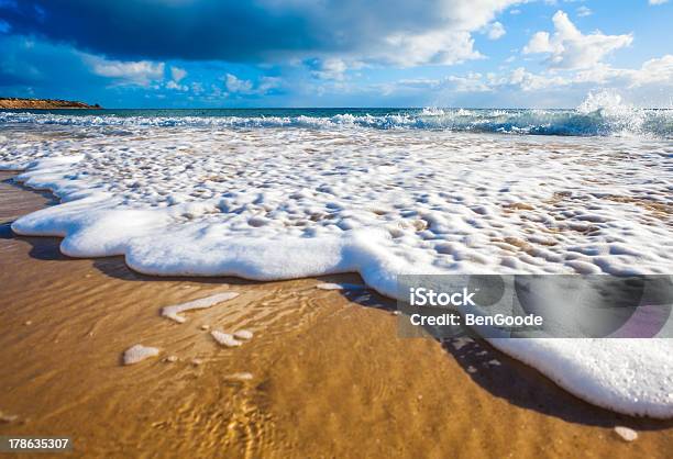 Wet Feet Stock Photo - Download Image Now - Australia, Beach, Beauty In Nature