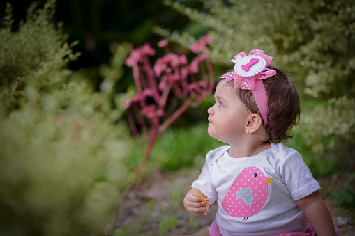 Beautiful baby sitting on meadow looking up as she holds candy in her hand. She wears pink and headband with number one drawn