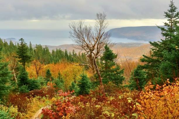 istock A Beautiful Autumn in Cape Breton Island 1786356592