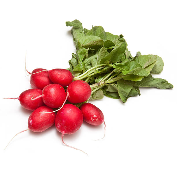 istock Fresh Radishes on a white background. 178635834