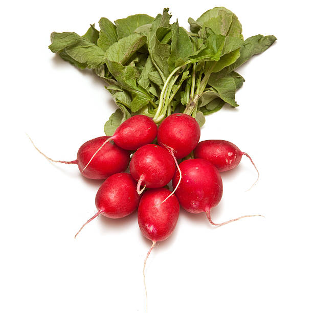 istock Bunch of Fresh Radishes on a white background. 178635836