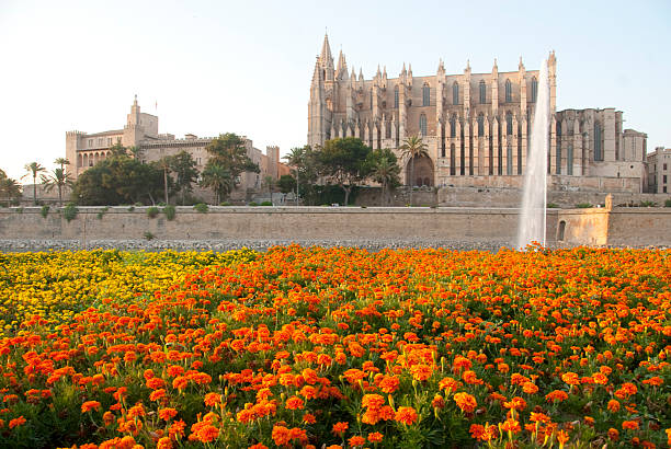 istock Cathedral Palma de Mallorca, Balearic Islands 178636233