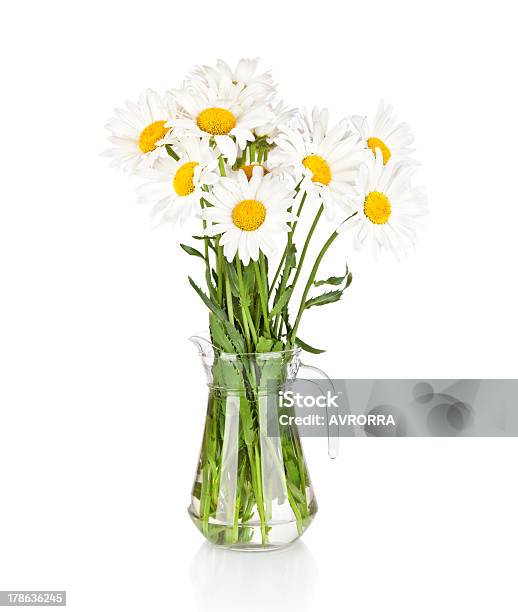 Piękny Duży Rumianek Kwiaty W Szklane Naczynie Pojedyncze - zdjęcia stockowe i więcej obrazów Bez ludzi