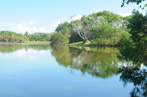 istock Tropical Garden and Lake 178636683