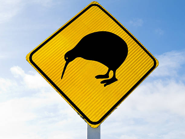 istock Attention Kiwi Crossing Road Sign 178636931