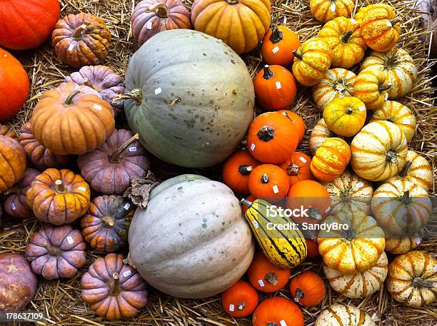 Bunte Kürbisse Stockfoto und mehr Bilder von Bunt - Farbton - Bunt - Farbton, Dekoration, Feiern