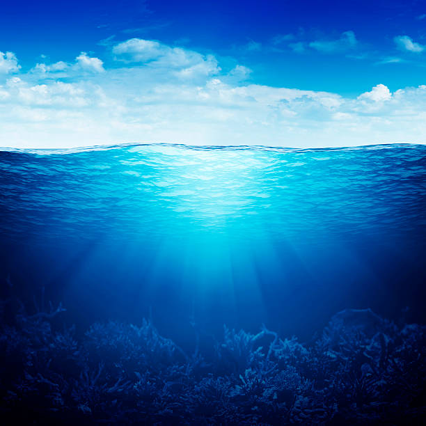 istock coral reef underwater up down waterline 178637162